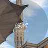 ‎طُوبَىٰ 的头像