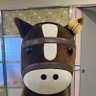 きいろ🌼🌻🌝's profile picture