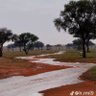 عبدالله 的头像
