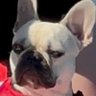 Profilbild von jon