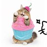 Фото профиля 🐷🍩🐮 ~ตั้งตารอล่าสมบัติ 2~
