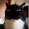 cahuatepistache's profile picture