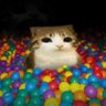 Jova's profile picture