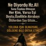 Фото профиля zafer