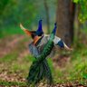 Profilbild von Feathered Tales