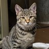 んこ profil fotoğrafı