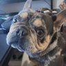 Cozy's profile picture