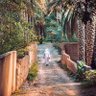 Фото профиля Said Osmanسعيد عثمان