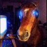 $outh Bay Groyper's profile picture