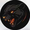 SPORT iN BLACK 🏅's profile picture