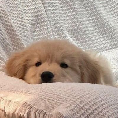 ·͜· ชน์'s profile picture