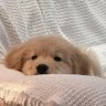 ·͜· ชน์'s profile picture