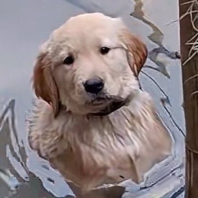 nhnhhn3's profile picture