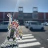 あだ(たなか)'s profile picture