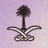 صَابِر 的头像