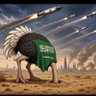 #انت_وين_و_الامارات_وين 的头像