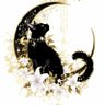 雪猫 profil fotoğrafı