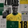 โญ๏ธโญ๏ธSporo wa le Sandawana's profile picture
