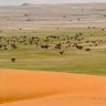 Фото профиля Mohammed9936842