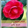 Фото профиля Abid Chaudhary.