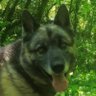 Profilbild von Lee