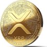XRPSOLDIER's profile picture