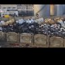 سعودي KSA🇸🇦 的头像