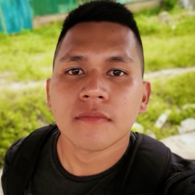 Ronaldo Saraiva's profile picture