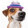 xen's profile picture