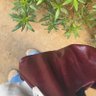 merv profil fotoğrafı