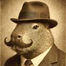 Don Capibara 的头像