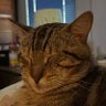 minflow42/60A's profile picture