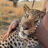 Cody Agbolahan profil fotoğrafı