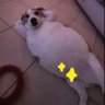 Justin Karen 的头像