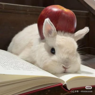KellyDial8's profile picture