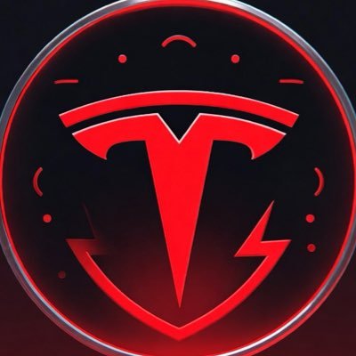 TeslaFanCN's profile picture
