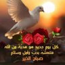 خالد المصري profil fotoğrafı