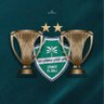 أبـو حـرب I نخبوي 💚🏆🇦🇷's profile picture