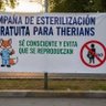 Фото профиля El Cazador de Therians