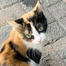 Profilbild von Choco