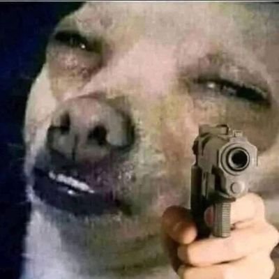 Motosimio1's profile picture