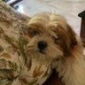 prasanth kumar's profile picture
