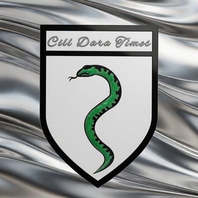 CillDaraTimes's profile picture