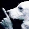 CD Barrojoz's profile picture