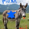 Anti Zionista profil fotoğrafı