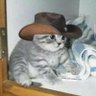 Profilbild von nao pode ce