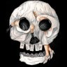 TimithegoatTTG🎯's profile picture