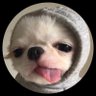 TuTi👒's profile picture