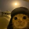 zura's profile picture