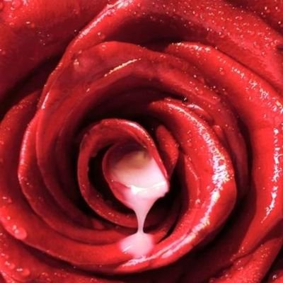 BtwnYourCurves's profile picture